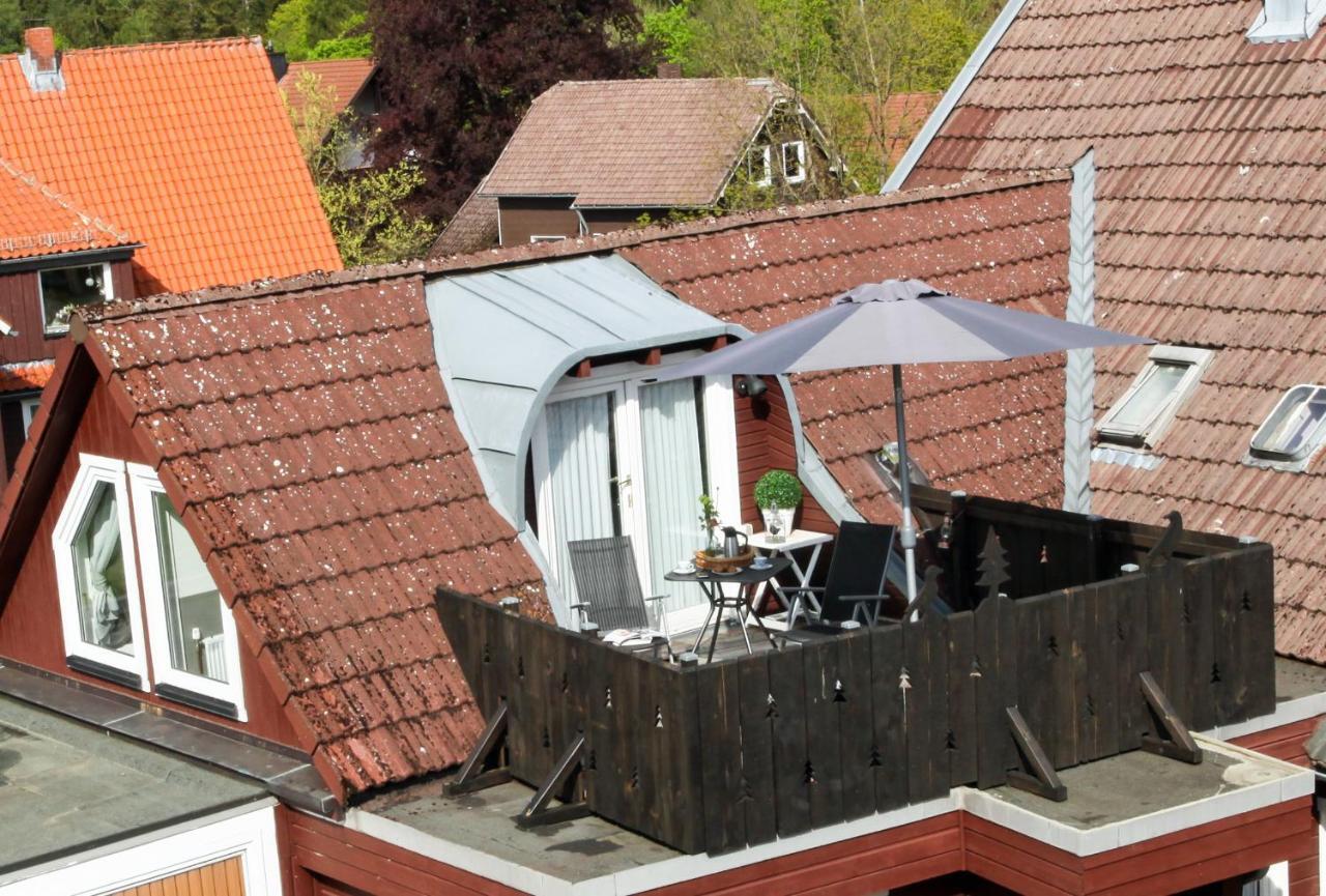Harzer Rabe * Braunlage