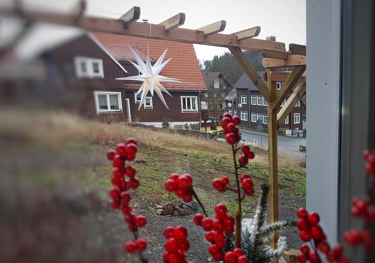 Appartement Harzer Rabe
